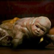 IT Chapter Two Fortune Cookie Scene HD
