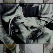 US Civil Rights Movement Benefits From Non Violent Strategy