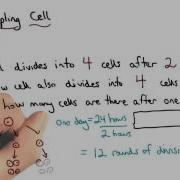 Quadrupling Cell Visualizing Algebra