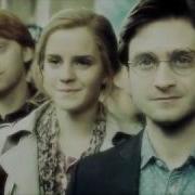 Multifandom Did You TFC