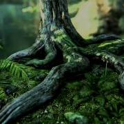 Crysis 3 Powered By CryEngine 3 Tech Demo