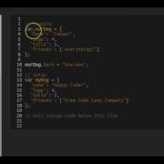 Add New Properties To A Javascript Object FreeCodeCamp Basic Javascript