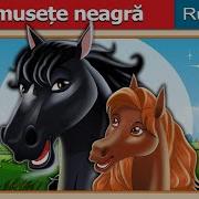 Frumusețe Neagră Black Beauty In Romanian RomanianFairyTales