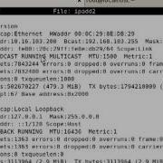 Basic Command 2 Part 2 Mp4