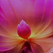 Inner Reflection 528Hz 111Hz Self Love Positive Mind Soul Healing Frequency Meditation Music
