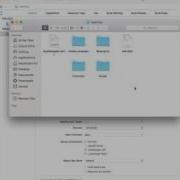 Best Way To Manage Files In Xcode The Right Way