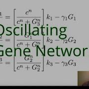 Lesson 7 Oscillating Gene Network
