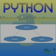 Hierarchical Inheritance In Python