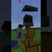 Dont Use Ender Chest Or This Will Happen