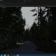 Vegetation Lighting Test