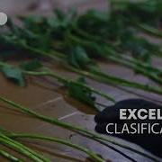 Product Video Flora BunchMaster Bercomex Spanish