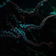 Deep Progressive Techno 24