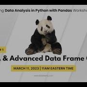 Auto EDA Advanced Data Frame Querying Python Pandas