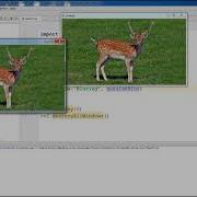 7 Python3 OpenCV Bluring And Smoothing Images