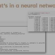 Lesson 3 Practical Deep Learning For Coders 2022