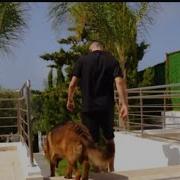 Didine Canon 16 SMAHT OU MCHIT Clip Official