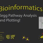Bioinformatics KEGG Pathway Visualization In R