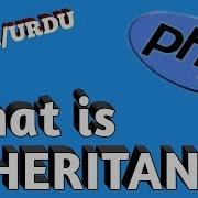What Is Inheritance And Function Overloading OOPS Concepts In PHP In Hindi Urdu