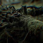 Dark Forest Psytrance Mix 2024 By FeerAnzDJ