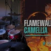 Flamewall Camellia Drum Cover