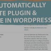 How To Enable Automatically Updates For Plugins And Theme Using Custom Code In WordPress Update