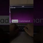 Head Command In Linux Output The First Part Of The File