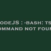 NodeJS Bash Tsc Command Not Found