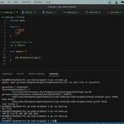 Golang Embed Diving Into Package Embed