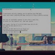 Hydra TryHackMe Walkthrough On Arch Linux