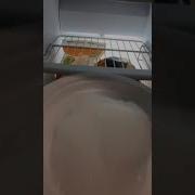 Что будет если положить пузыри в морозильник Шорты