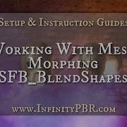 InfinityPBR Com Setup Instruction Guides Blend Shapes Script Mesh Morphing