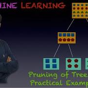 08 Pruning Decision Trees Practical In Python