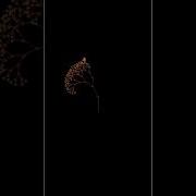 Amazing Geometric Graphics Coding By Turtle Made A Tree Pyton Programer
