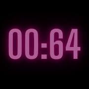 111 Second Timer With Alarm