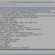 Mininet Introduction