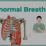 Accessory Muscle Breathing Agonal Breathing Apneustic Breathing Asterixis And Biot S Breathing