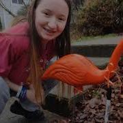 Schuylerville High School Class Of 2020 Flamingo Flocking
