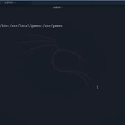 Bash Variables On Kali Linux With Echo Functions