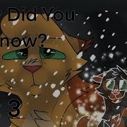 Mary Did You Know Part 3