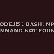 NodeJS Bash Npm Command Not Found