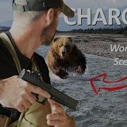 BEAR DEFENSE With The 10mm Semi Auto Handgun Bear Spray Vs Gun