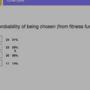 Genetic Algs