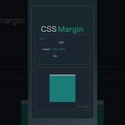 CSS Margin Property