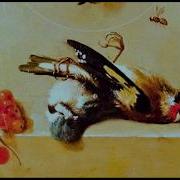 Mccafferty Dead Bird II Sub Español