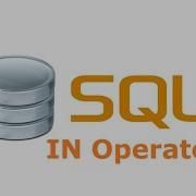 How To Use The IN Operator In SQL Simplified
