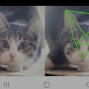 Cat Face Landmark In Android