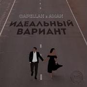 Идеальный вариант