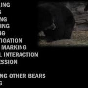 Methods Of Animal Behavior Research Sample 2