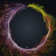 Trapcode Particular Test
