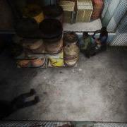 CSS Clip 3 By CK